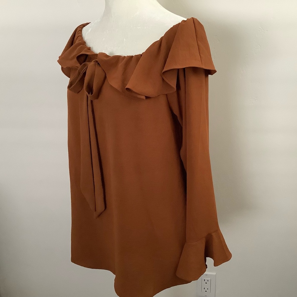 She & Sky rust colored blouse size L